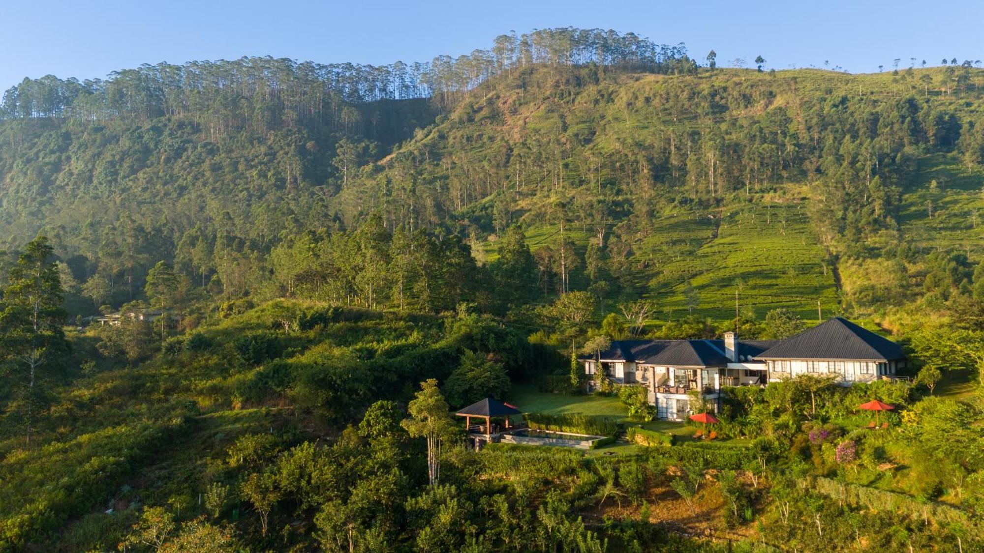 Hotel Camellia Hills à Hatton Extérieur photo