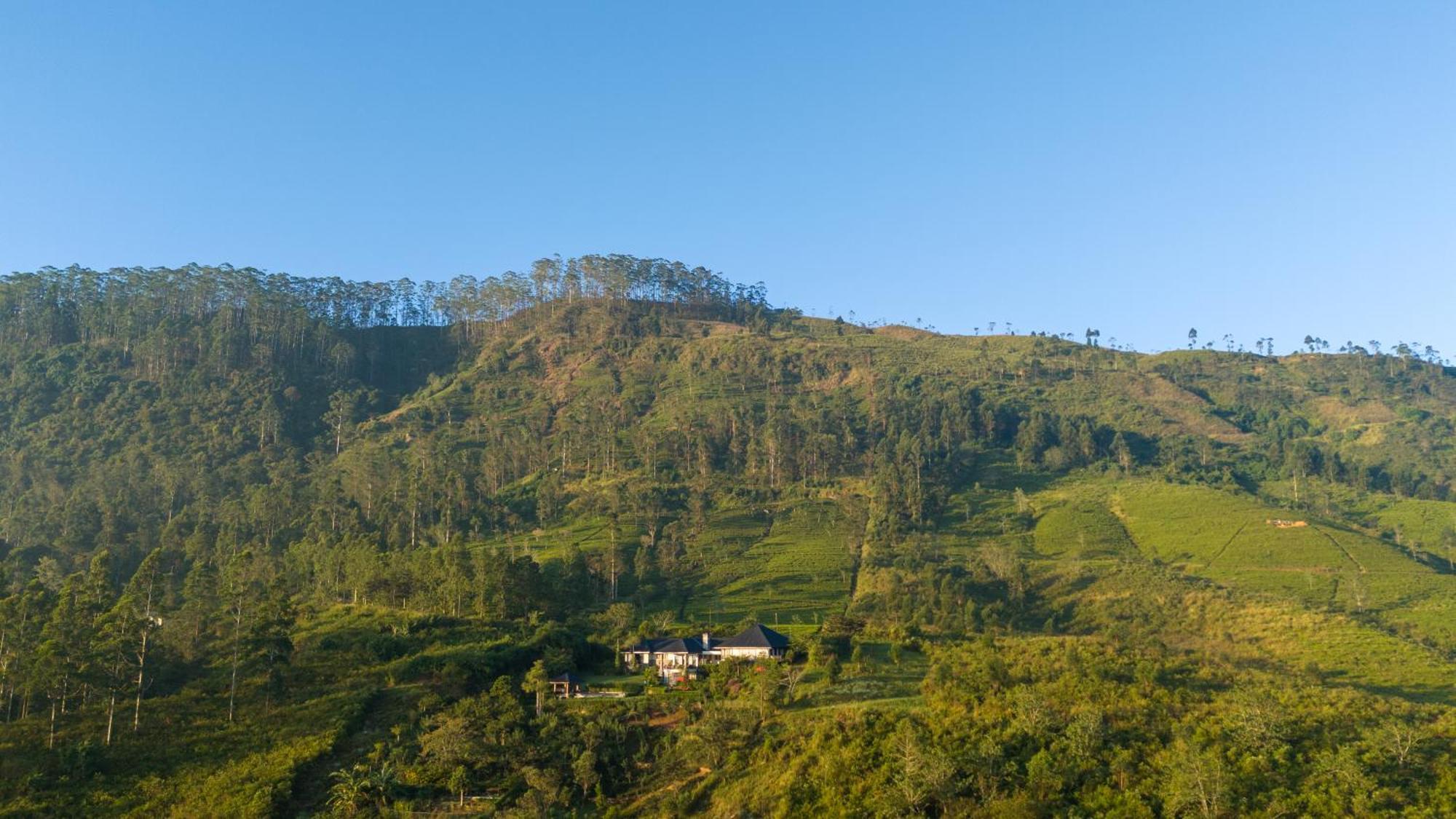 Hotel Camellia Hills à Hatton Extérieur photo